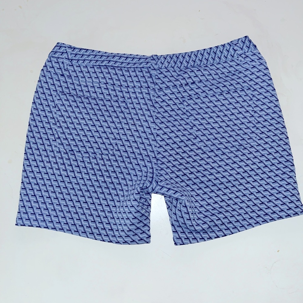 Blue Patterned Shorts - Picture 3 of 3